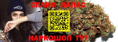 ешки Нарткала